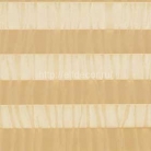 ap1_165