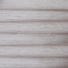 ap1_204